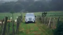 Citroen Type Holidays (2023)