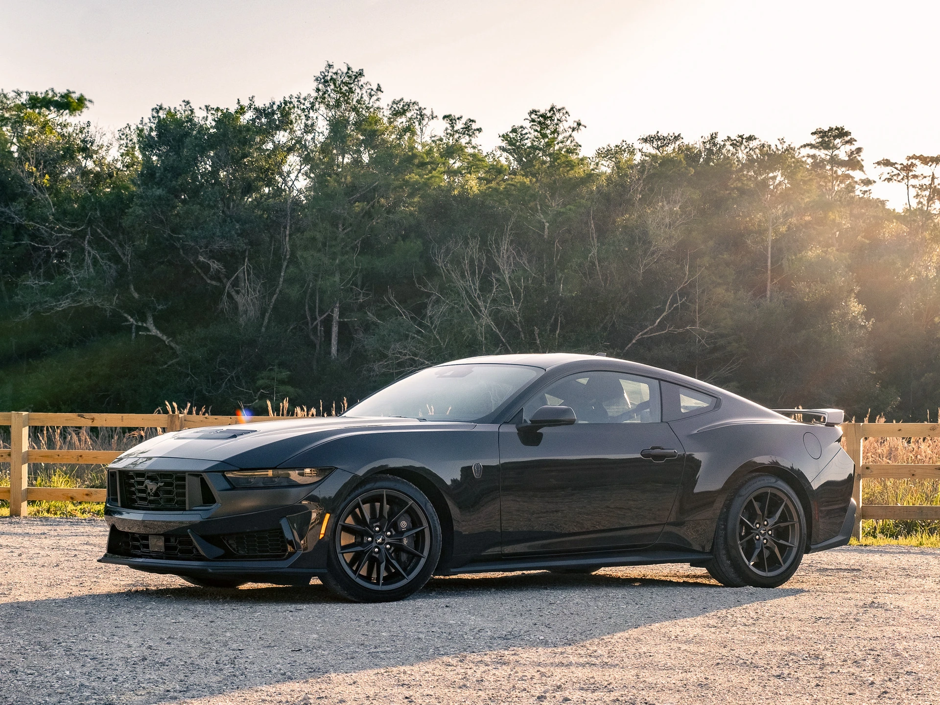 The Ford Mustang Dark Horse Rips