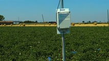 Integrare sensori, mappe satellitari, centraline connesse e dati nutrizionali nella gestione irrigua del pomodoro da industria
