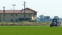 
Guida pratica per integrare sensori, app, dati satellitari e macchine agricole nella gestione digitale e data driven della risaia

