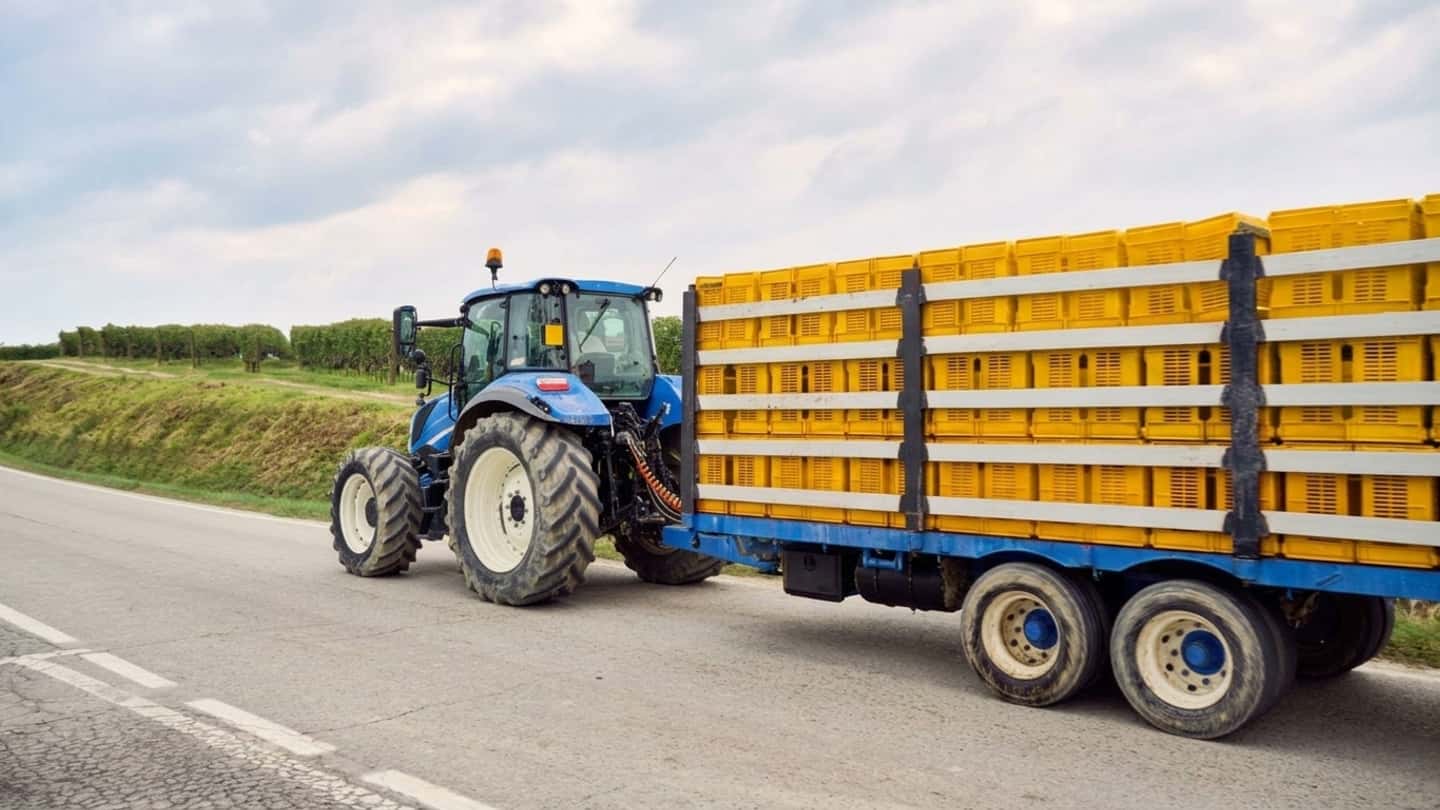 Vendemmia 2026 anticipata con uve sane e abbondanti