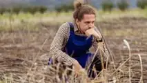 Danni da calamità in agricoltura: come provarli e quantificarli