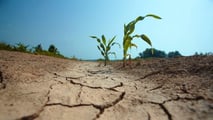 Aggiornare il calendario irriguo del mais al nuovo regime di eventi estremi per adeguare turni, priorità e decisioni aziendali alle condizioni meteo locali
