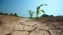 Aggiornare il calendario irriguo del mais al nuovo regime di eventi estremi per adeguare turni, priorità e decisioni aziendali alle condizioni meteo locali
