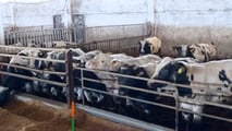 Ristorni nelle cooperative: come contabilizzarli nel 2026