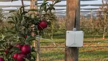 PlantZCare: sensori indossabili per monitorare le colture