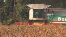 Scelte tra deroghe, attrezzature di diserbo e alternative agronomiche per pianificare il disseccamento chimico della soia in coerenza con il quadro europeo
