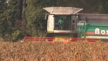 Scelte tra deroghe, attrezzature di diserbo e alternative agronomiche per pianificare il disseccamento chimico della soia in coerenza con il quadro europeo
