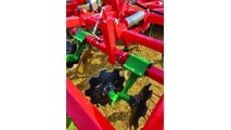 AGRO-MASZ: coltivatore ad ancore RUNNER 40
