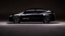 Tesla Robotaxi