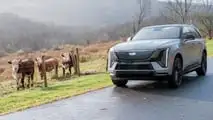 2026 Cadillac Escalade IQ