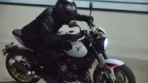 Triumph Trident 800 de 2026
