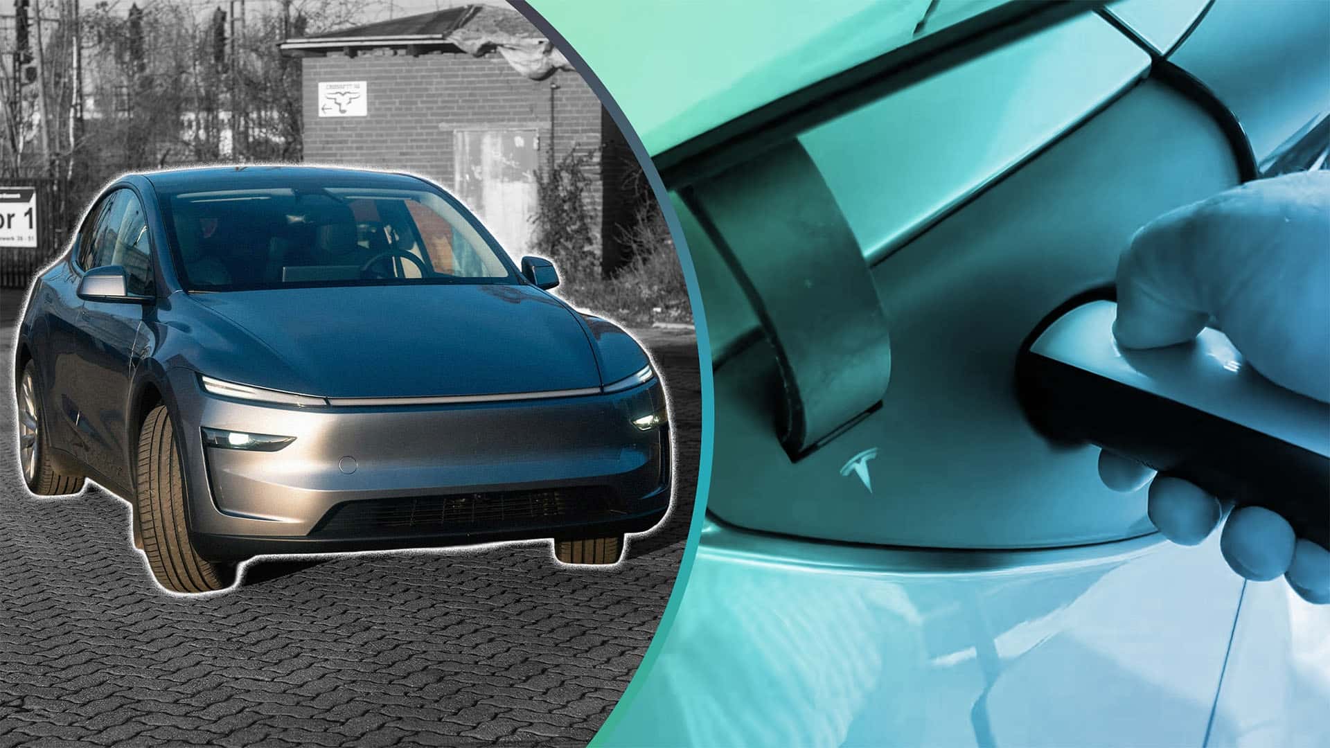 The Tesla Logo Will Go Rainbow Mode': California Tesla Model Y Driver Reveals 3 Features You Didn't Know