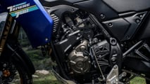 2024 Yamaha Ténéré 700 Extreme - Engine 