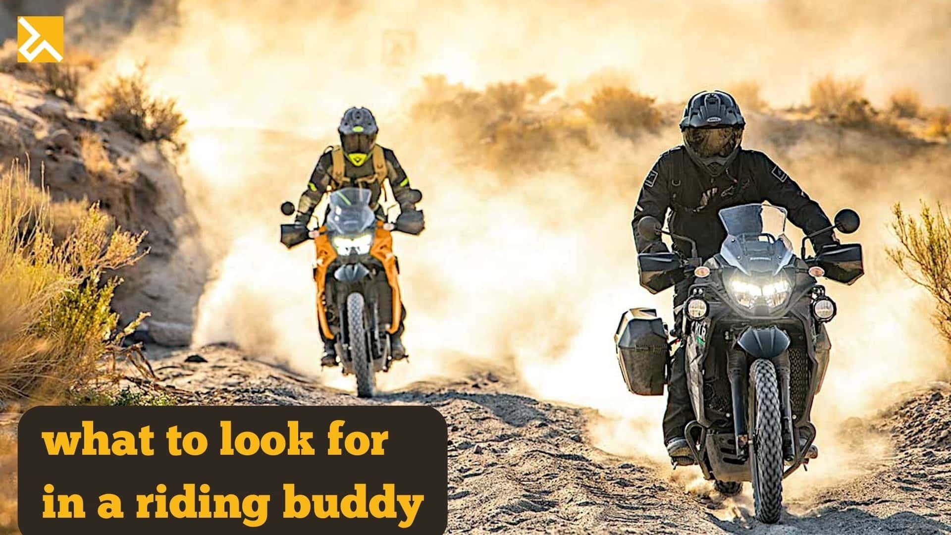What To Look For In A Riding Buddy