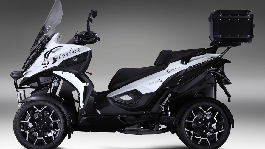 QUADRO4 Steinbock