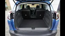 Meriva-Erbe mit französischer DNA