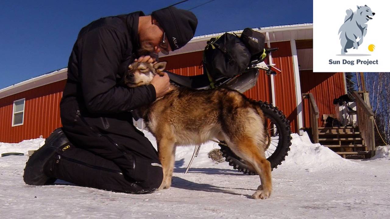 The Sun Dog Project Delivers Kibble to Needy Canadian Dogs