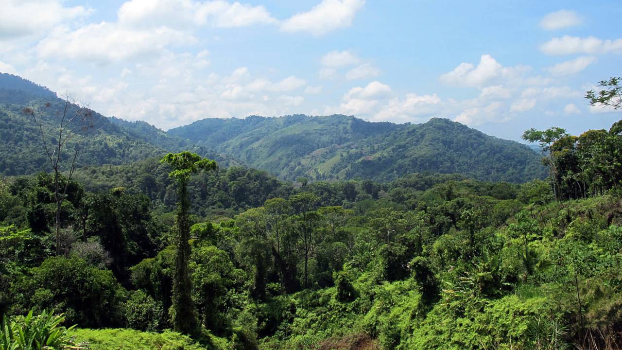 Brundy Does Costa Rica - Part Two