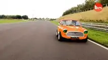 Mini Haha