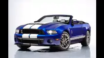 Bissigster Mustang