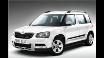 Skoda Rapid: Die Spritsparer sind da