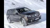 Bergpassziege und Autobahnelefant