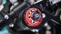 Ohvale GP-0 160cc Special PSRT Edition - Fork