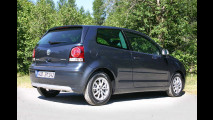 Blauer Sparzwerg