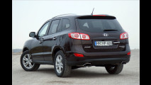 Überraschungs-SUV