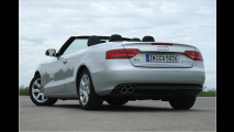 Umweltfreundlich cruisen