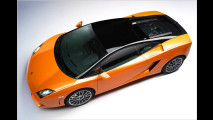 Scharfer Sonder-Gallardo