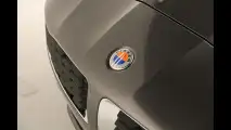 Fisker Surf