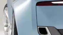 Bertone Birusa