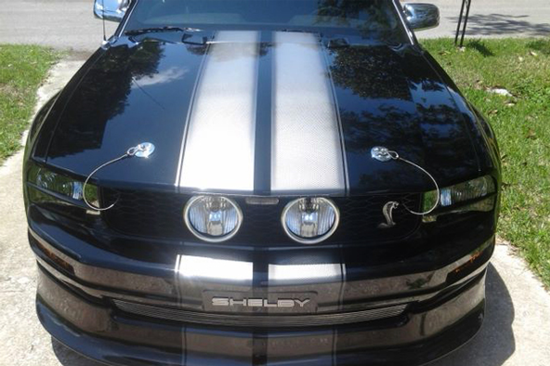 Your Ride: 2006 Ford Mustang Shelby Tribute