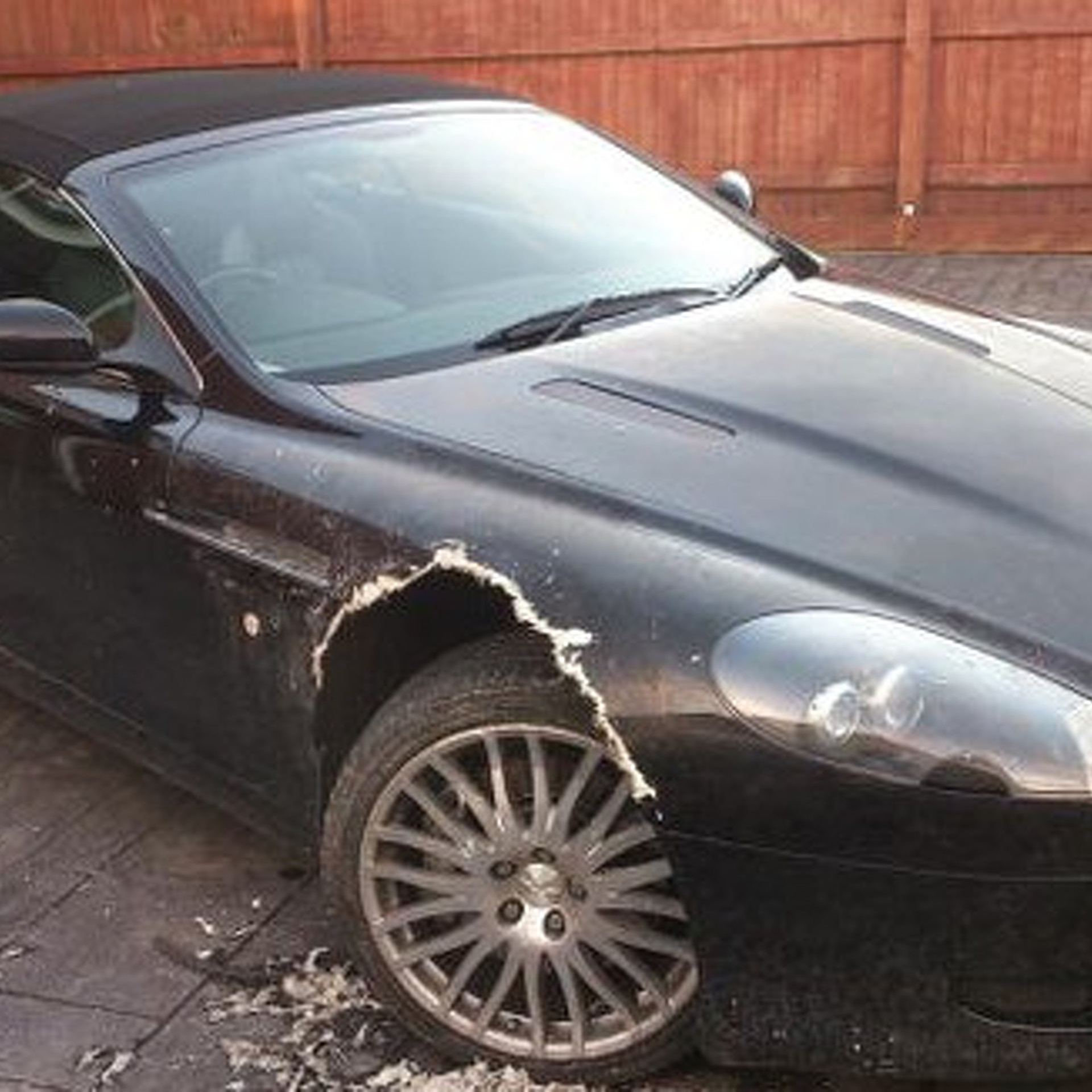 Dog Chews Through UK Man's Aston Martin