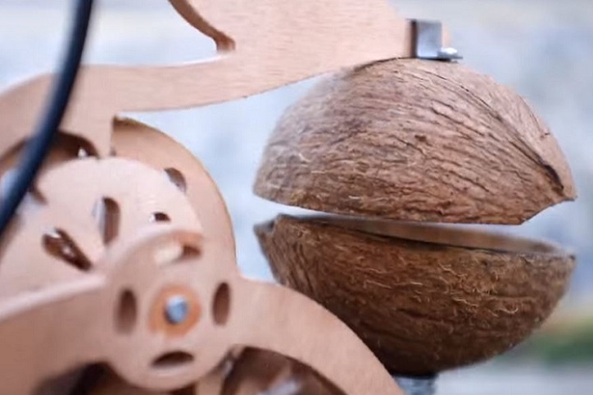 Trotify Lets You Reenact a "Monty Python" Skit With Your Bike