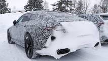 2019 Mercedes-AMG GT Coupe casus fotoğraflar