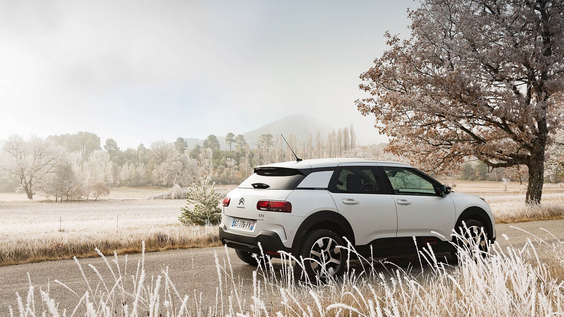 Citron C4 Cactus (2018) im Test