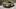 2018 BMW X2