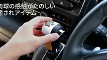 Honda'nın Köpeklere Özel Aksesuarları: Honda Dog