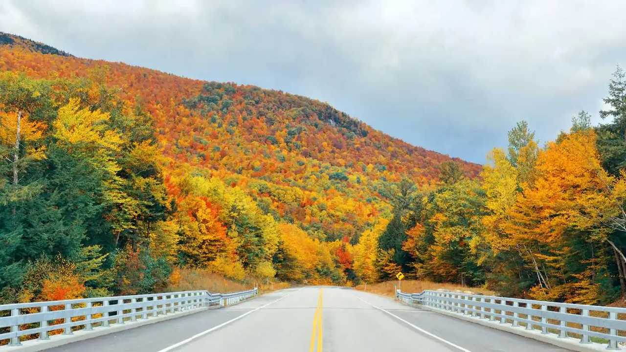 Canossa's Spectacular Fall Rally Of New England Returns This Year