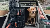 Jeep CJ-8 Scrambler ARB Overland Edition