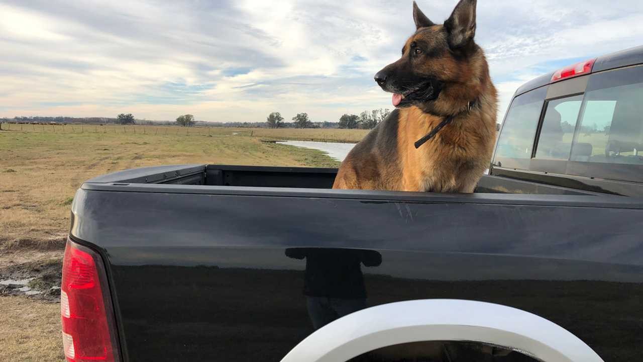 Crítica: Ram 1500 (2019)