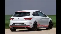Dicke Cupra-Backen