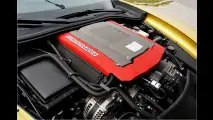 Geigers Kompressor-Rochen