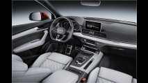 Neuer Audi Q5: Berufs-Evolutionär