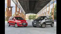 Smartes Bärchen