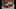 Recall: MINI Cooper convoca 97 unidades no Brasil