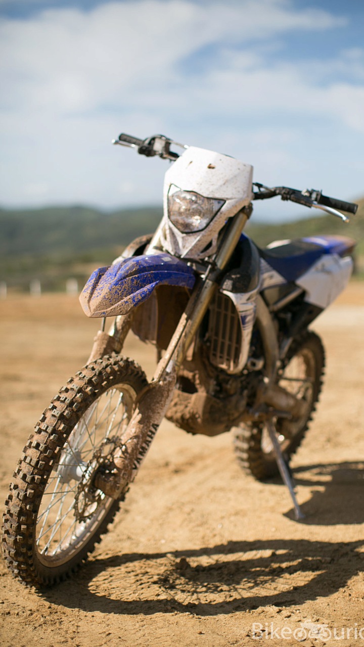 The more you can cover in dirt, the less ugly it looks!